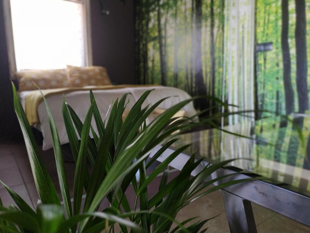La Palma Wild Life Villa Ел Пасо Екстериор снимка